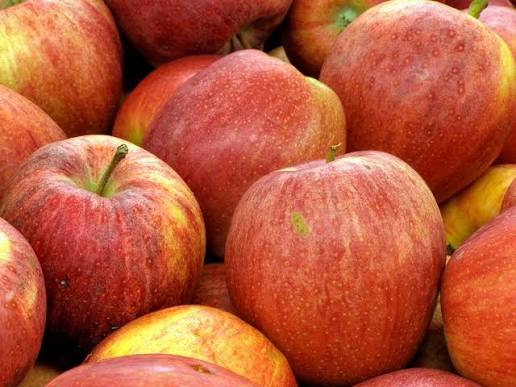 Manzana Gala
