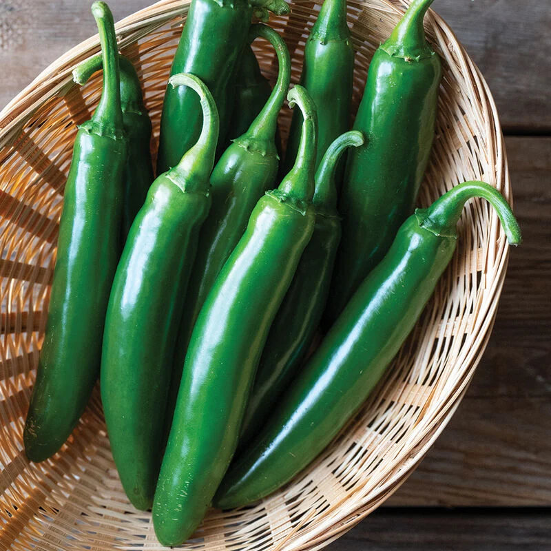 Chile serrano