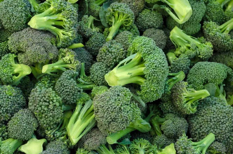 Brócoli