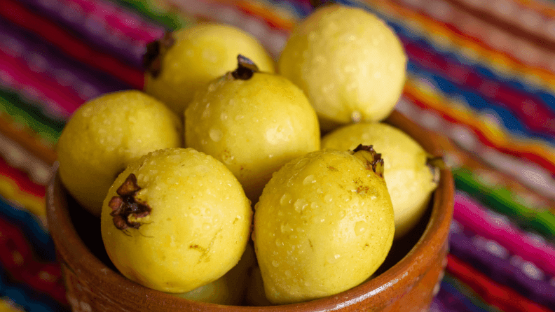 Guayaba