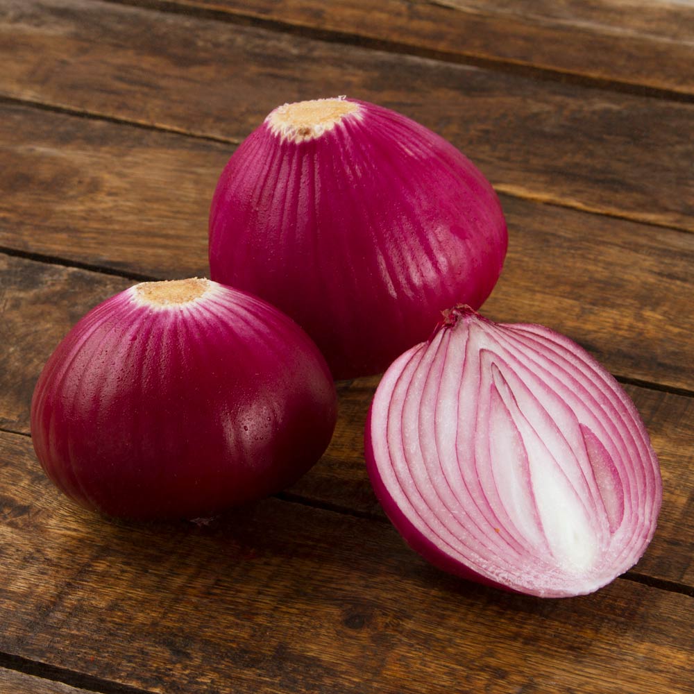 Cebolla morada