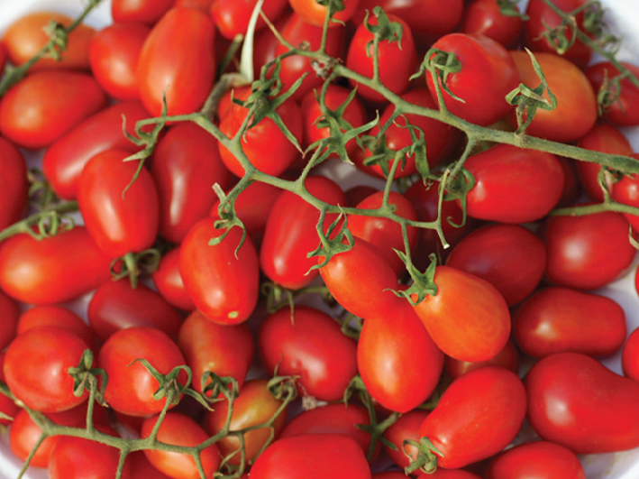 Tomate Cherry x kilo