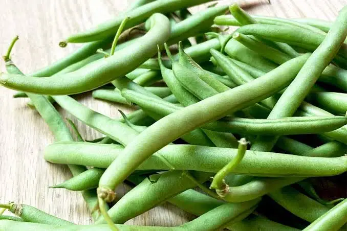Ejote