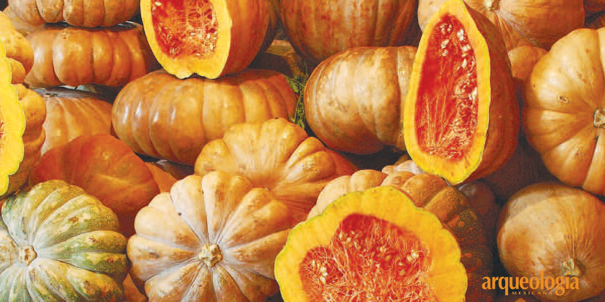 Calabaza de Castilla