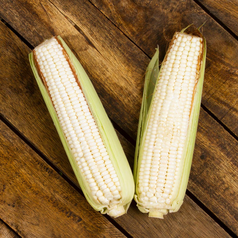 Elote blanco