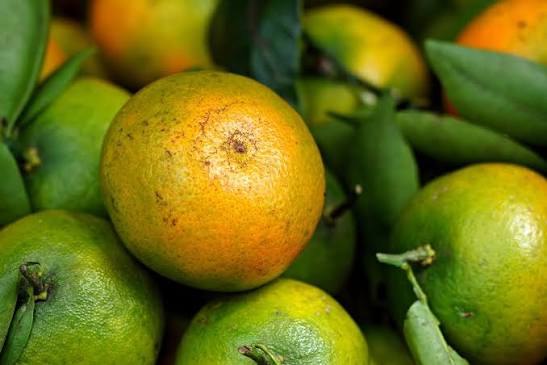 Mandarina Nacional