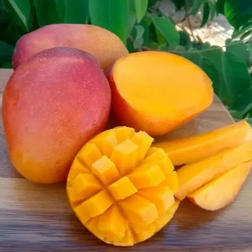 Mango Petacon
